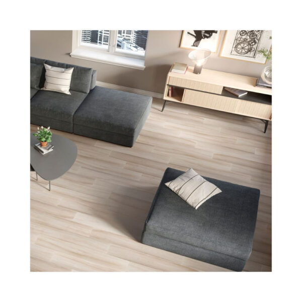 PORCELANATO NATURE BEIGE RECTIFICADO<br>20ER2061E